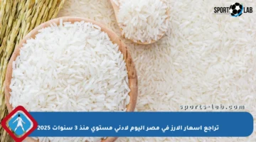 تراجع أسعار الأرز في مصر اليوم لأدنى مستوى منذ 3 سنوات 2025